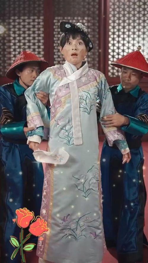 嬛嬛，娘娘重生了,再续后宫传奇