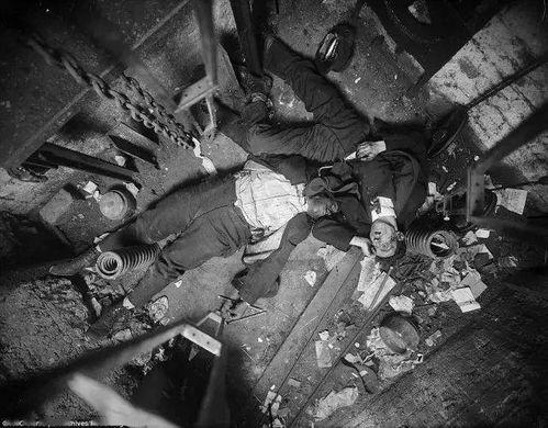 纽约凶杀案,真相扑朔迷离