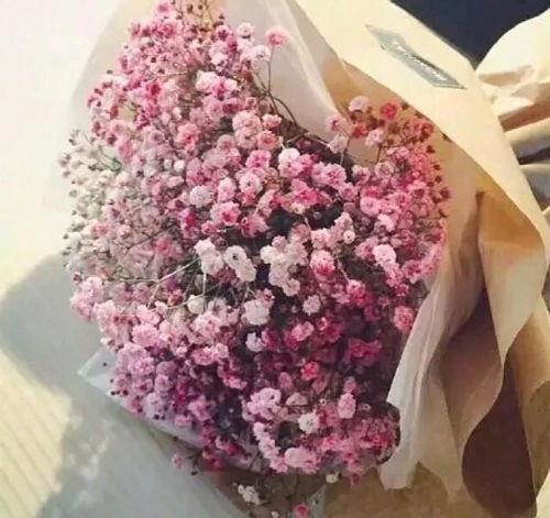 爱是满天星,照亮人生旅程的温暖光芒