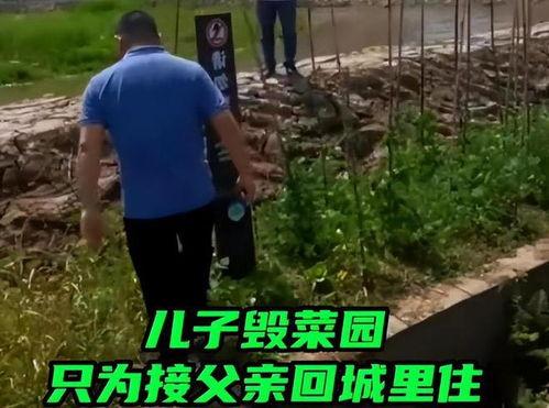 跟着儿子进城享福,一家三口的幸福新篇章